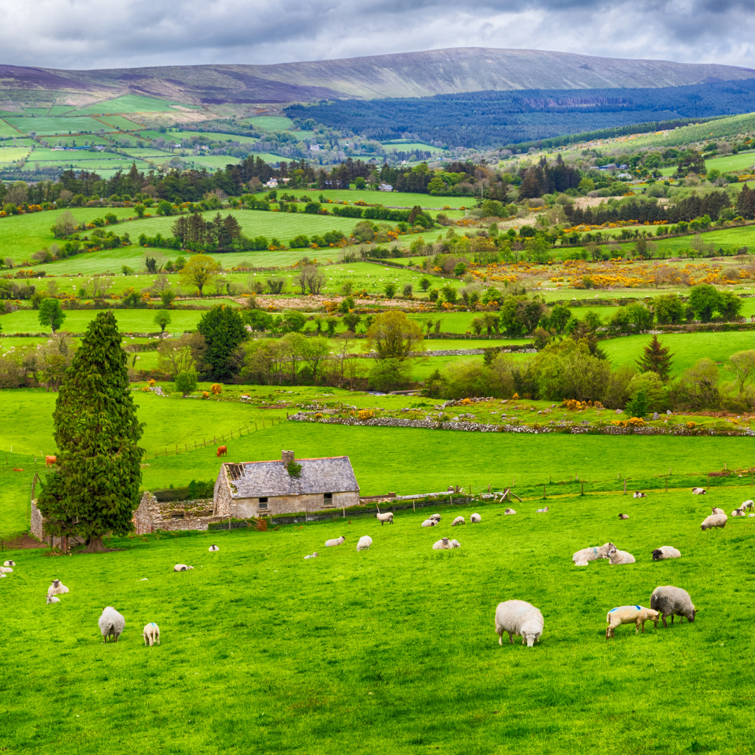 Happy-Tours - Wycieczki - Irlandia
